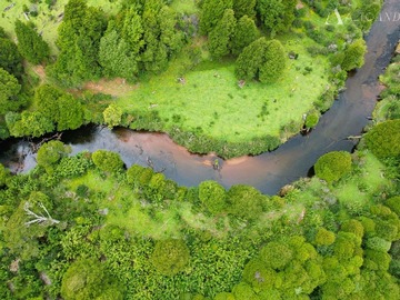 Venta / Parcela / Coyhaique