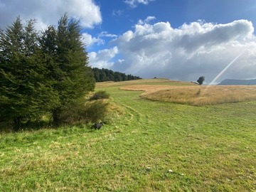 Venta / Parcela / Coyhaique