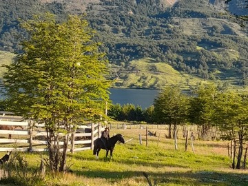 Venta / Parcela / Coyhaique