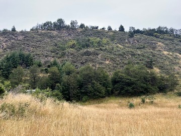 Venta / Parcela / Coyhaique
