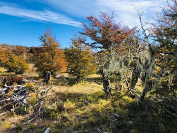 Venta / Parcela / Coyhaique