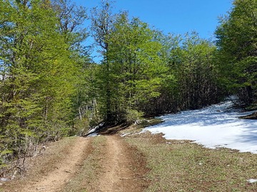 Venta / Parcela / Coyhaique