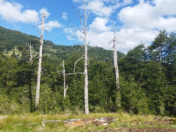 Venta / Parcela / Coyhaique