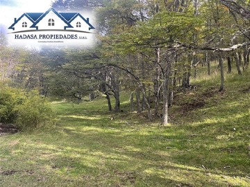 Imagen 14