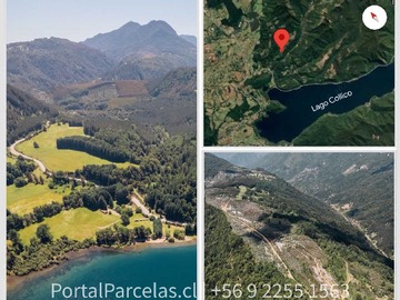 Venta / Parcela / Cunco