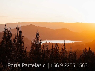 Imagen 9