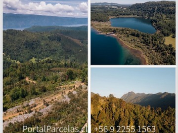 Venta / Parcela / Cunco