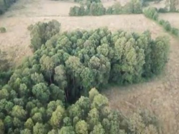 Venta / Parcela / Cunco