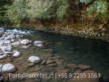 Imagen 11