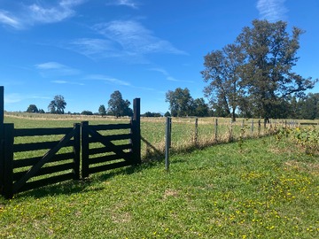 Venta / Parcela / Cunco