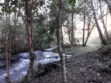 Imagen 13