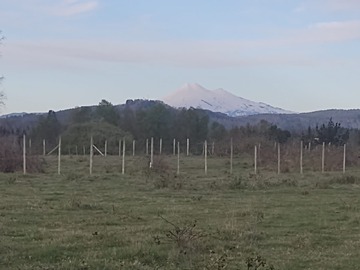 Venta / Parcela / Cunco