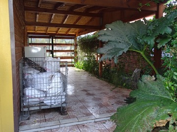 Imagen 14