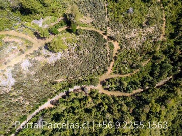 Imagen 6