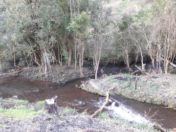 Imagen 14