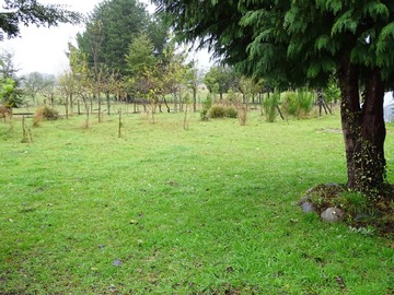Imagen 23