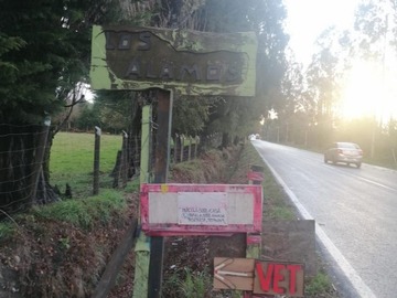Imagen 6