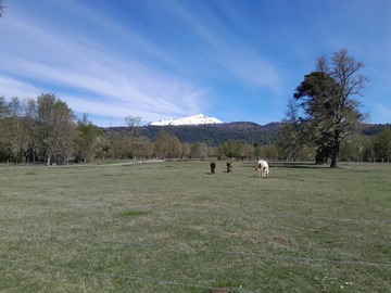 Imagen 7