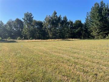 Venta / Parcela / Curacautín