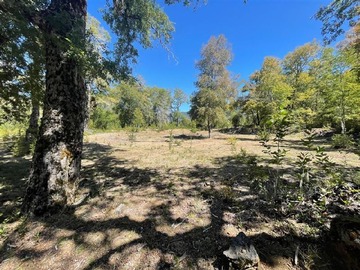 Venta / Parcela / Curacautín