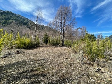 Imagen 14