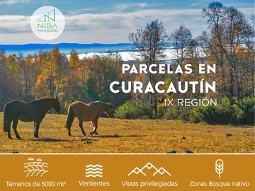 Venta / Parcela / Curacautín