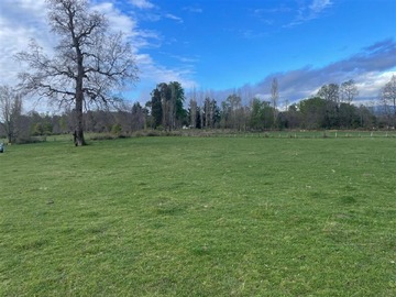 Venta / Parcela / Curacautín