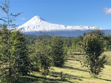 Venta / Parcela / Curacautín