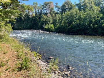 Venta / Parcela / Curacautín