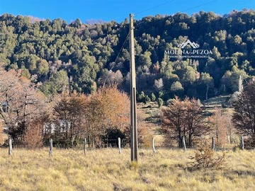 Imagen 6