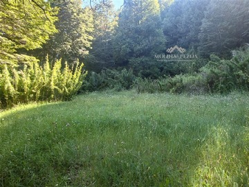 Venta / Parcela / Curacautín