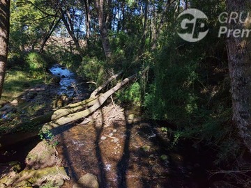 Venta / Parcela / Curacautín
