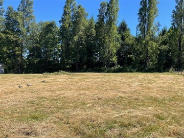 Venta / Parcela / Curacautín