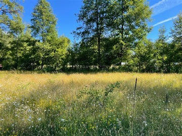 Venta / Parcela / Curacautín