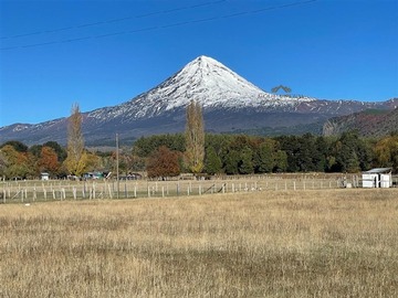 Venta / Parcela / Curacautín
