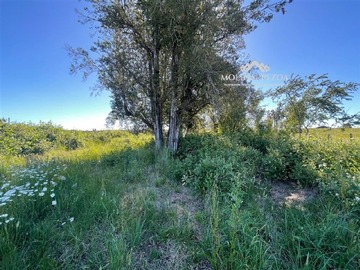 Venta / Parcela / Curacautín