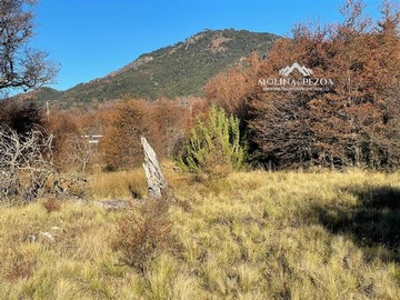Imagen 11