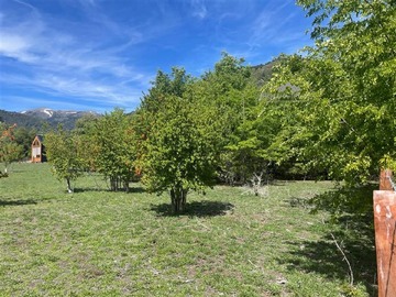 Imagen 14