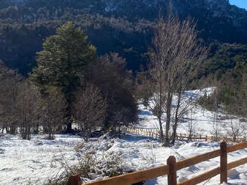 Imagen 11