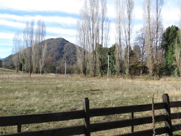 Imagen 7