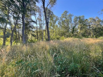 Venta / Parcela / Curacautín