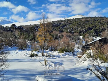 Imagen 9