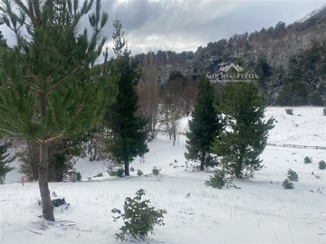 Imagen 12