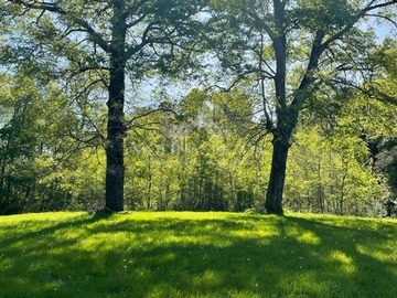 Venta / Parcela / Curacautín