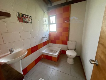 Imagen 5