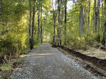 Venta / Parcela / Curacautín