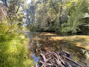 Venta / Parcela / Curacautín