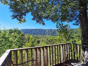 Venta / Parcela / Curacautín