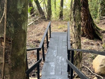 Venta / Parcela / Curacautín