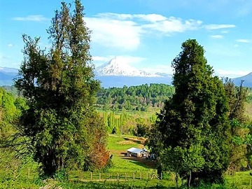 Venta / Parcela / Curacautín